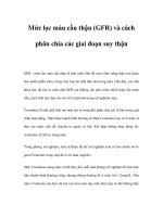 Mức lọc máu cầu thận (GFR) và cách phân chia các giai đoạn suy thận pptx