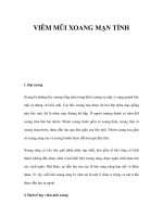 VIÊM MŨI XOANG MẠN TÍNH ppt