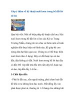 Góp ý thêm về kỹ thuật nuôi lươn trong bể đất lót ni lon pptx