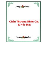 Chấn Thương Nhãn Cầu & Hốc Mắt docx
