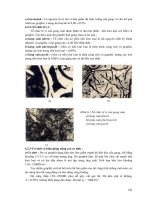 Giáo trình phân tích khả năng vận dụng quy trình tổ chức tế vi của mactenxit ram p6 pdf