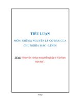Tiểu luận Sinh viên và thực trạng thất nghiệp ở Việt nam hiện nay