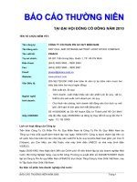 báo cáo thường niên 2009 CÔNG TY cổ PHẦN PIN ắc QUY MIỀN NAM