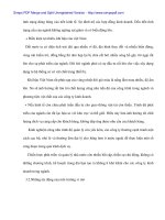 Hòan thiện công cụ Marketing Mix tại Cty TNHH Quốc tế Song Thành (STI) - 7 docx