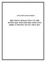 skkn biện pháp chỉ đạo công tác bồi dưỡng học sinh giỏi - học sinh năng khiếu ở trường th ngư thuỷ bắc