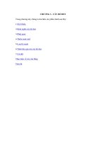 Cấu trúc dữ liệu và giải thuật II - Chương 3 docx