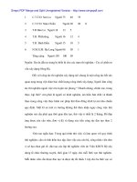 Đầu tư nâng cao năng lực kinh doanh tại Cty tư vấn xây dựng Sông Đà - 6 ppt