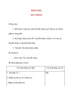 Giáo án lớp 4: KHOA HỌC ĐẤT TRỒNG pdf