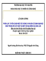 PHÂN lập, TUYỂN CHỌN một số CHỦNG VI KHUẨN cố ĐỊNH đạm nội SINH TRONG rễ cây NGÔ tại một số địa điểm của đăk lăk