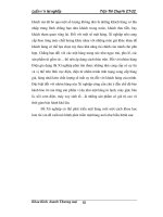 Giáo trình hướng dẫn tìm hiểu về sự hình thành của nền kinh tế thương mại Việt Nam từ những thập kỷ 90 phần 5 potx