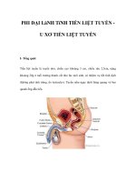 PHI ĐẠI LàNH TíNH TIỀN LIỆT TUYẾN U XƠ TIỀN LIỆT TUYẾN doc