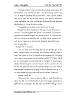 Giáo trình hướng dẫn tìm hiểu về sự hình thành của nền kinh tế thương mại Việt Nam từ những thập kỷ 90 phần 2 pdf