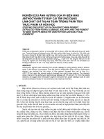 Báo cáo nghiên cứu khoa học: 