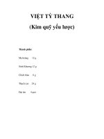 VIỆT TỲ THANG (Kim quỹ yếu lược) docx