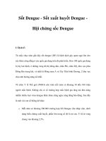 Sốt Dengue - Sốt xuất huyết Dengue Hội chứng sốc Dengue pps