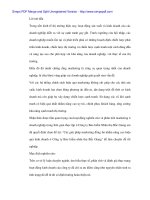 Giải pháp Marketing đồng bộ cho Bảo hiểm nhân thọ Bắc Giang - 1 ppt