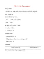 Giáo án lớp 1 môn Tự Nhiên Xã Hội: Tuần 19 : Cuộc sống xung quanh pdf