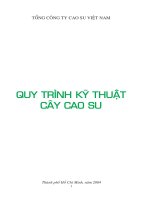 Quy trình kỹ thuật cây cao su - Mở đầu pot