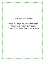 skkn một số biện pháp giảng dạy phân môn học hát lớp 5 ở trường tiểu học cây gáo a