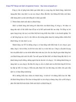 Hòan thiện công cụ Marketing Mix tại Cty TNHH Quốc tế Song Thành (STI) - 9 ppt