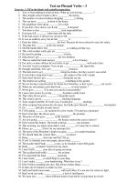 Test on Phrasal Verbs – 3 potx