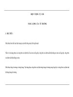 HIỆN TƯỢNG TỰ CẢM NĂNG LƯỢNG CỦA TỪ TRƯỜNG ppt