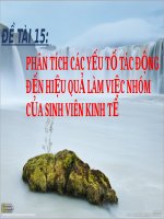 Phân tích các yếu tố tác động đến hiệu quả làm việc nhóm của sinh viên kinh tế