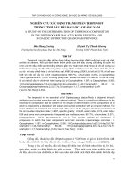 Báo cáo nghiên cứu khoa học: 