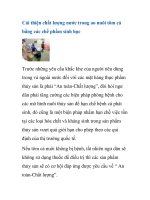 Cải thiện chất lượng nước trong ao nuôi tôm cá bằng các chế phẩm sinh học pot