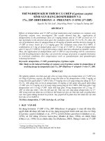 Báo cáo nghiên cứu khoa học: 