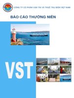 CÔNG TY cổ PHẦN vận tải và THUÊ tàu BIỂN VIỆT NAM báo cáo thường niên 2011 VST