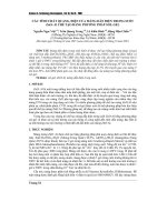 Báo cáo nghiên cứu khoa học: 