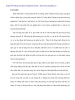 Hòan thiện công cụ Marketing Mix tại Cty TNHH Quốc tế Song Thành (STI) - 1 potx