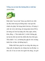 Trồng rau an toàn theo hướng hữu cơ sinh học pdf