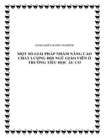 skkn một số giải pháp nhằm nâng cao chất lượng đội ngũ giáo viên ở trường tiểu học âu cơ