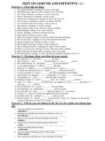 TEST ON GERUND AND INFINITIVE ( 1 ) ppsx