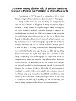 Giáo trình hướng dẫn tìm hiểu về sự hình thành của nền kinh tế thương mại Việt Nam từ những thập kỷ 90 phần 1 pps