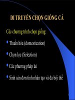 Chương 5: DI TRUYỀN CHỌN GIỐNG CÁ potx
