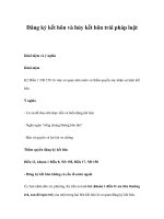 Đăng ký kết hôn và hủy kết hôn trái pháp luật pot