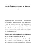 Hai hệ thống pháp luật common law và civil law -1 docx
