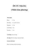 ÔN TỲ THANG (Thiên kim phương) pdf