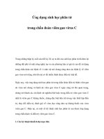 Ứng dụng sinh học phân tử trong chẩn đoán viêm gan virus C pdf