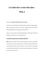 Các hình thức sở hữu hiến định – Phần 4 pot