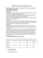 Đặc tính của ong mật và hướng dẫn cách nuôi pptx