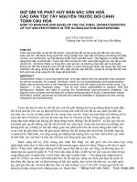 Báo cáo nghiên cứu khoa học: 