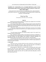 Báo cáo nghiên cứu khoa học: 