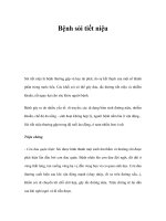 Bệnh sỏi tiết niệu ppt