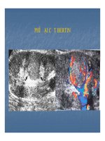 Bài giảng kỹ thuật thăm khám và hình ảnh của hệ tiết niệu part 9 ppsx