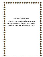 skkn một số kinh nghiệm nâng cao hiệu quả hoạt động của tổ chuyên môn trường tiểu học số 2 phong thuỷ