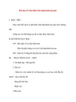 Giáo án lớp 1 môn Thủ Công: Bài dạy:Xé dán hình chữ nhật,hình tam giác docx